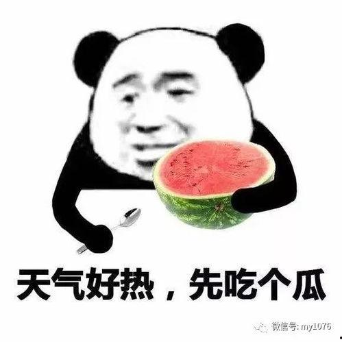 娱乐吃瓜君改名了吗,揭秘新名字背后的故事
