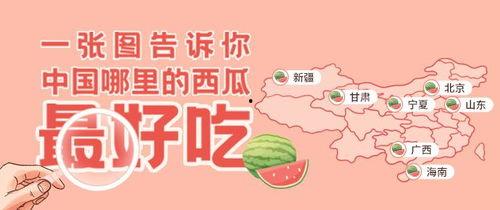 娱乐吃瓜咩,吃瓜群众的热门话题盘点